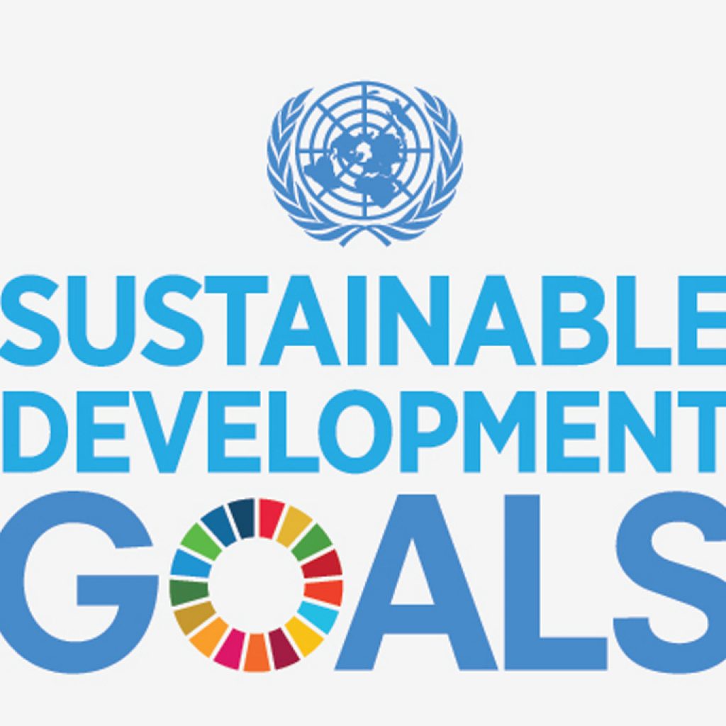 Sustainable Development Goals ​